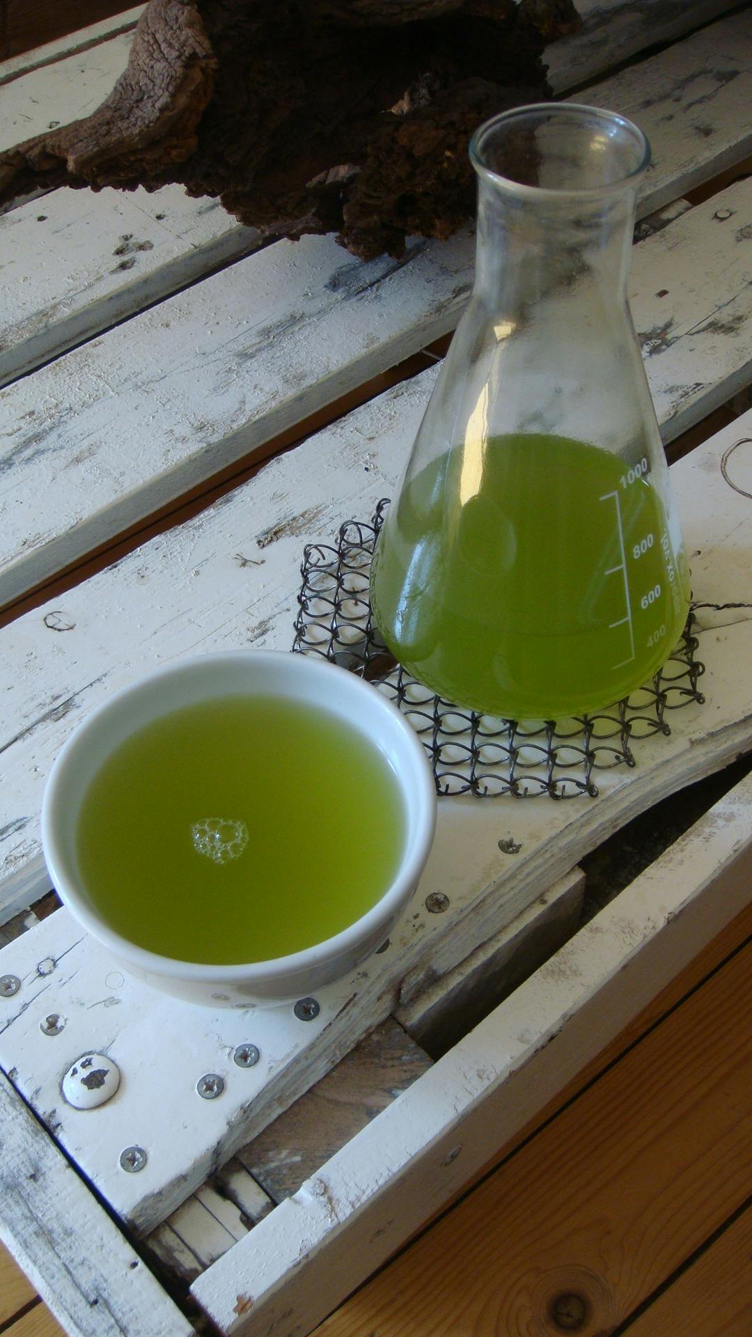 Organic Japanese Reicha Cold Brew Green Tea Ocha & Co.